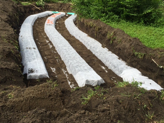 Drain Field Installation in Ruskin, Florida