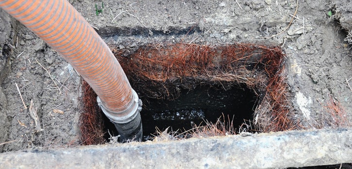 Grease Trap Problems in Land O’Lakes, Florida