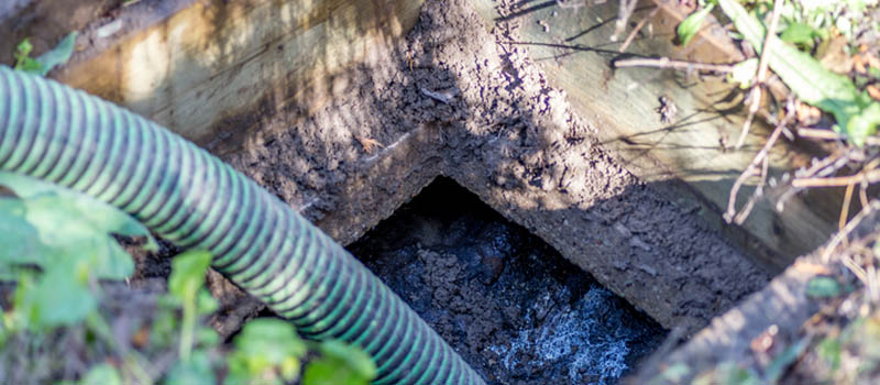 Septic Cleaning in Land O’Lakes, Florida