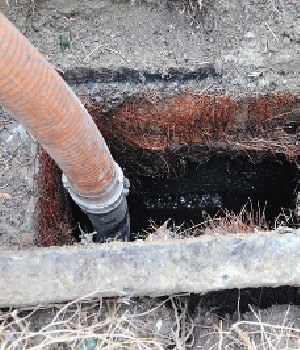 Grease Trap Problems in Odessa, Florida