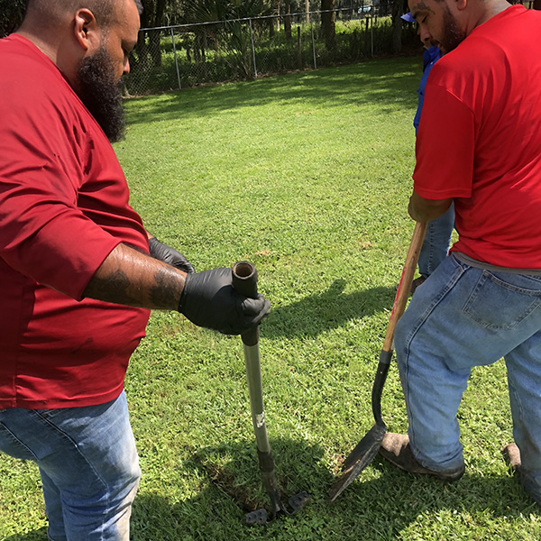 drain field problems inLutz FL