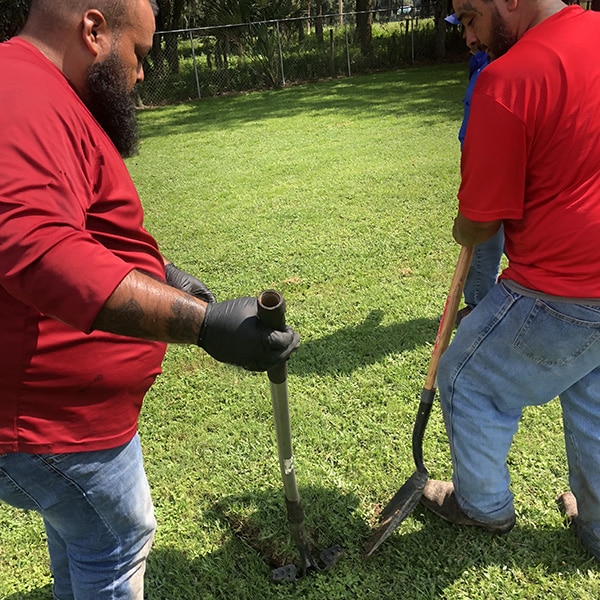 drain field replacement in Land O' Lakes FL