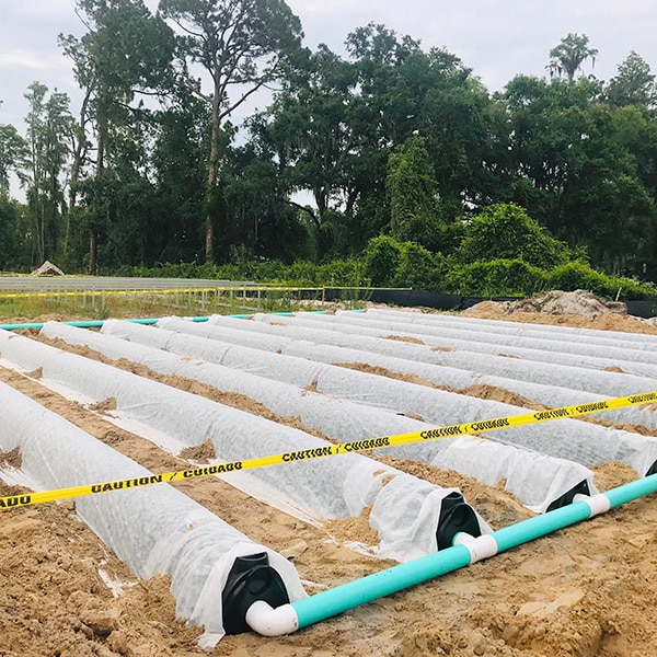 Carrollwood FL drain field inspection