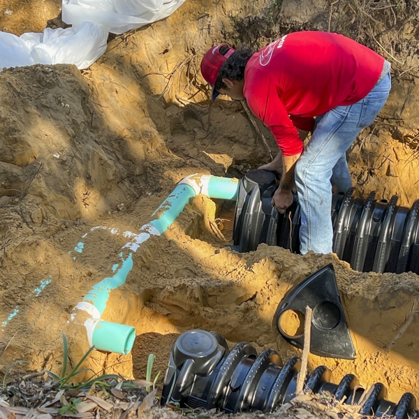 drain field repair professionals, tampa fl