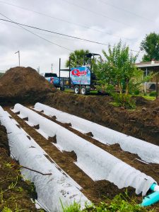 Tampa Drain Field Repair