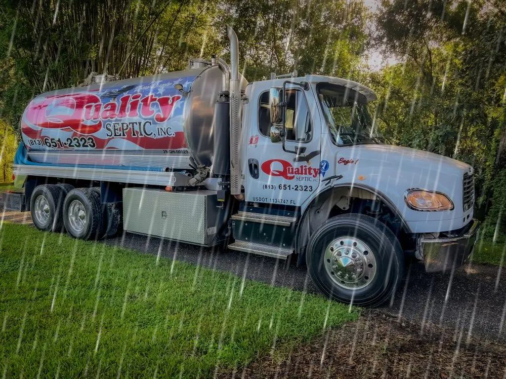 Rain